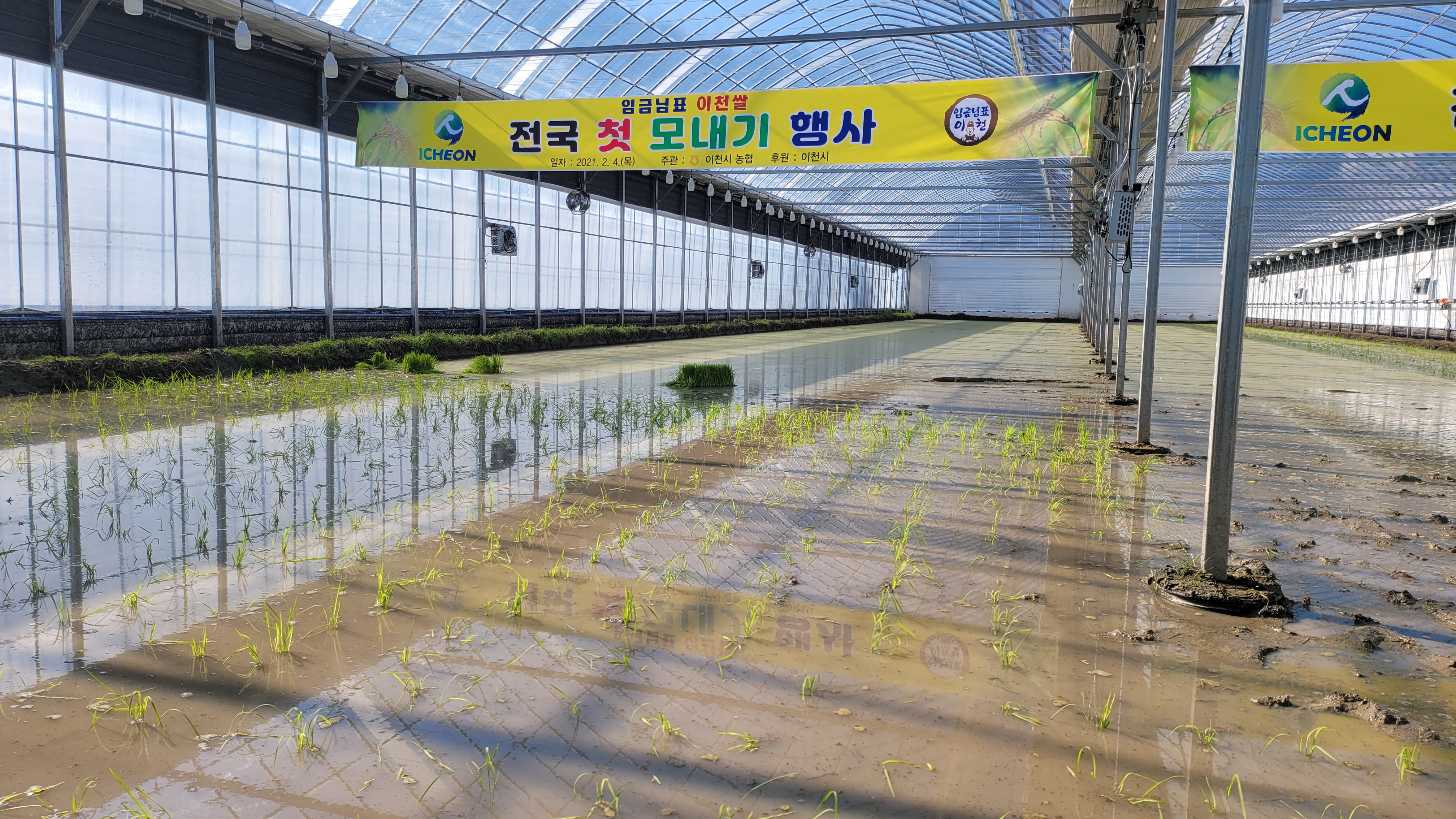 2021 임금님표 이천쌀 전국 첫 모내기 행사