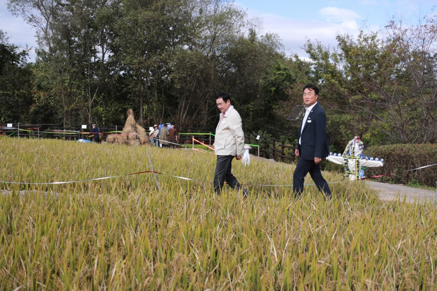 이천쌀문화축제_63
