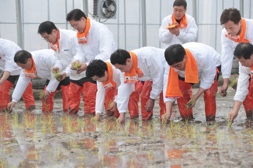 임금님표 이천쌀 전국 첫 모내기 행사_12