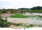 폭우 피해지역 현장확인(2)_1