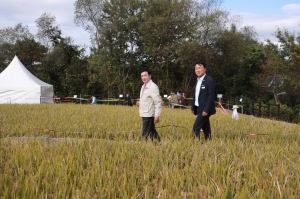 이천쌀문화축제_64