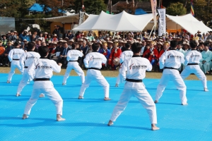이천쌀문화축제_129