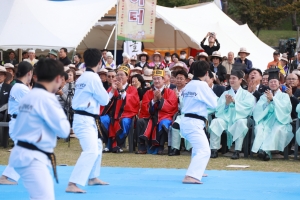 이천쌀문화축제_132